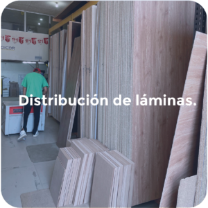 Distribucion de laminas